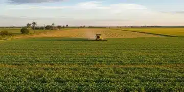 Vasta plantação agrícola com colheitadeira em operação, simbolizando a safra recorde brasileira.